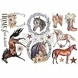 Prima Marketing Re-Design Decor Transfers 6'X12' 3/Sheets-Wild Soul -RE653422