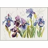 Lanarte Kreuzstich Stickpackungen Gezählter Kreuzstichbilder Set 3 BLAUE IRIS Wanddekoration Handarbeit Set für Erwachsene 40 x 28 cm DIY Deko Bastelset Handwerker Kreative Geschenkset