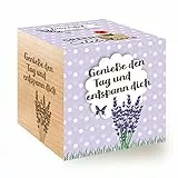Feel Green - WE CREATE NATURE Celebrations Ecocube, Lavendel Bio Samen, Holzwürfel Mit Lasergravur «Genieße Den Tag und entspann Dich», Nachhaltige Geschenkidee, Anzuchtset, Made in Austria