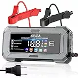 TANYO Autobatterie Ladegerät, 12V Intelligentes Batterieladegerät mit Reparaturmodus & Temperaturkompensation, 6A Ladegerät Autobatterie mit LCD-Display für Auto, Motorrad, AGM und LiFePO4 Batterien