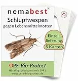 nemabest® Schlupfwespen gegen Lebensmittelmotten - 5 Karten à 1 Lieferung zur effektiven Bekämpfung - biologische Alternative zur Mottenfalle oder Pheromonfalle