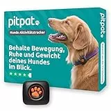 PitPat Aktivitäts & Fitness Tracker für Hunde (ohne GPS) – kein Aufladen oder Abo erforderlich – Geeignet für alle Hunde und Halsbänder – Intelligenter Haustier Aktivitätstracker – 100 % wasserdicht