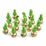 Glücksbringer Frösche auf Goldener Kugel 16er-Set – Silvesterdeko Viel Glück Figur 5 cm – Neujahr Geschenk Gastgeschenke 2026 – Logbuch-Verlag