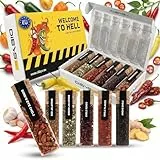 DIBYS WELCOME TO HELL Scharfes Chili Geschenk-Set - 6 scharfe Gewürze inkl. Rezeptkarten - Gewürz-Set mit Chiliflocken, Ancho, Bird's Eye & Mehr - Geschenke für Kochbegeisterte