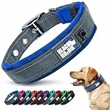 Black Rhino - Das Comfort Halsband Super Weiches Neopren Gepostertes Hundehalsband für alle Hunderassen - Hochbeanspruchbar Verstellbar Reflektierend Wetterfest (Groß, Blau/Schwarz)
