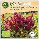 Little Plants BIO Amarant Samen 300 Fuchsschwanz Samen Blumensamen Samenfest für Blumengarten Blumen Saatgut Balkon und Garten