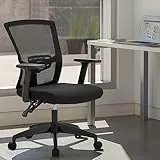 Alpha Home Bürostuhl Ergonomischer Schreibtischstuhl, Computer-Arbeitsstuhl mit atmungsaktivem Mesh verstellbaren Armlehnen, Heimbüro, 48x48x100 cm