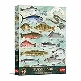 Trefl Premium Plus Quality - Puzzle Finders Keepers: Fische – 500 Teile, Serie „Zeitlose Motive“, perfekt passende Teile, für Erwachsene und Kinder ab 10 Jahren