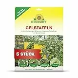 Neudorff Gelbtafeln (großformatig) – Gegen kleine fliegende Schädlinge wie Trauermücken und Weiße Fliegen, insektizid frei, geruchlos, 5 Stück