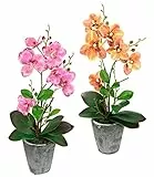 Kunstblume Schmetterling Orchidee mit Blätter und Luftwurzeln im Topf aus Keramik Künstliche Blume Kunstorchidee Phalaenopsis mit Übertopf Kunstpflanze Hochzeit Deko Seidenblume Real Touch Blüte
