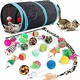 Speedy Panther 21 Stücke Katzenspielzeug Set Katzentunnel Interaktives Katzen Spielzeug für Kätzchen Federspielzeug Katzenbälle Spielzeugmäuse