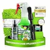 Felgenpflege Set: TUGA Chemie Alu-Teufel Spezial (500ml) Premium Auto Felgenreiniger + Dr. Wack Felgen Detailer + Zubehör - schonende & gründliche Reinigung für Alufelgen & Stahlfelgen | 5-teilig