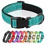 HEELE Hundehalsband, Hundehalsband aus Nylon, Reflektierend Halsband Hund mit Weich Neopren Gepolstert für Welpen Kleine Mittel Große Hunde Läng Einstellbereich 26-38cm, Türkis, S
