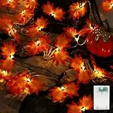 A.bigwhale Herbst Dekoration Lichterkette, 20 LED Ahornblatt Lichterkette mit Timer, Herbst Girlande Licht Blätter Lichterketten Batterie für Party Hochzeit Thanksgiving Erntedankfest Halloween Deko