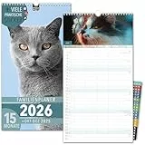 Familienkalender 2026 5 Spalten KATZEN Familienplaner 2026 mit STICKER Urlaub Recycling Ferien Wandplaner 2026 Wandkalender 23 x 43cm inkl. Okt-Dez 2025, Pflanzkalender, niedlich Kätzchen Cats