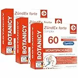BOTANICY Zündex Forte Complex 3er Pack - OptiMSM Hochdosiert, Extrakt aus Boswellia Serrata Weihrauch, Curcuma, Myrrhe, Ingwer & Cranberry - Plus Vitamine & Spurenelemente - 180 MSM Kapseln
