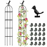 Hysagtek 2 Pack Garten Obelisk Rankgitter für Kletterpflanzen, Garten Outdoor Indoor Topfpflanzenstütze, Abnehmbares Obelisk Rankgitter mit 20 Pflanzenclips