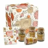 GreatVita Gewürz Adventskalender 2025 mit 24 hochwertigen Gewürzmischungen im Glas & Beileger | Weihnachtskalender für Genießer & Hobbyköche - Geschenkidee zur Adventszeit
