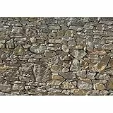 Komar Steinmauer Fototapete STONE WALL | 368 x 254 cm | Tapete, Steinwand, Steinoptik | 8-727