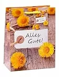 TSI Geschenktüten ALLES GUTE, 3er Packung, Größe: Mittel (HxBxT 23 x 18 x 10 cm), Art. Nr. 82015-3