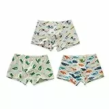 CM-Kid Babys Mutande, Set Intimo per Ragazzi, Boxer per Ragazzi Boxershorts, Combinazione dinosauro/treno, 7-8 anni
