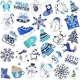 SANNIX 60 Stück Brosche Set, Emaille Pins für Kleidung, Hüte, Accessoires, Geschenke (Winter)