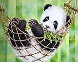 Pracht Creatives Hobby Diamond Painting Set, Bild mit Motiv Panda und Zubehör, Größe ca. 35 x 25 cm, Bastelset zum Malen mit Glitzersteinchen für Kinder ab 5 Jahren