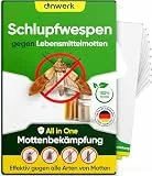 anwerk® Schlupfwespen gegen Lebensmittelmotten - 4 Karten (1 Karte à 4 Lieferungen) - Effektiv Lebensmittel Motten bekämpfen - Alternative zur Mottenfalle, Mottenspray, Pheromonfalle