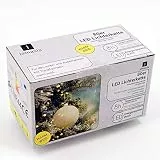 Jamasia 999101 - LED Lichterkette mit 80 LED Lämpchen, warm weiß, mit Trafo und 8 Stunden Timerfunktion, für Innen und Außen, grünes Kabel Länge 15,90 m, Zuführung 8 m, LED Abstand 10 cm, GS geprüft