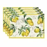 Artoid Mode Zitrone Sommer 4er Set Platzsets, 30x45cm Saisonnal Frühling Bankett Tischsets Waschbar Platzdeckchen Küche Party Deko