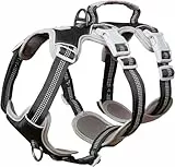 Huntboo Hunde Sicherheitsgeschirr, Sicherheitsgeschirr für Hunde, Vollständig Reflektierendes Geschirr mit Gepolstertem Griff, Wasserdicht, Verstellbare Weste (Schwarz, M)
