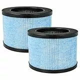 vhbw 2x HEPA Filter H13 kompatibel mit CONOPU DH-JH01, DH-JH06 Luftreiniger - Ersatz-Filter mit integriertem Aktivkohle-Filter