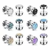 JSDDE Piercing 12 Stück Ohrstecker aus Chirurgenstahl Fake Plugs Ohrläppchen Ohrringe Fake Ohr Cheater Tunnel Plug Barbell Ohrpiercing für Damen Herren (Silber)