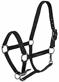 Covalliero Halfter Black FS 2025, Größe:Cob