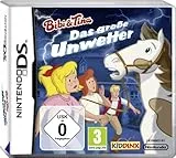 Das große Unwetter - [Nintendo DS]