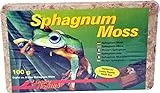 Lucky Reptile Sphagnum Moos Ziegel, Inhalt:5 Liter