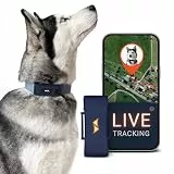 PAJ GPS Tracker für Hunde 4G - inkl. 3 Monate Premium ABO - Weglaufalarme + weltweite Live-Ortung - bis zu 10 Tage Akkusparmodus - Hunderückruf - Wasserdicht (IP67) - passt an jedes Halsband, Blau