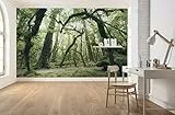 Komar Vlies Fototapete ANCIENT GREEN | Tapete, XXL, Dekoration, Natur, Landschaft, Schlafzimmer, Wohnzimmer, Büro, Flur | Größe 450 x 280 cm (Breite x Höhe) | SHX9-104
