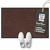 Carpet Diem Fußmatte innen, große Auswahl, Größe: 40x60 cm, Farbe: braun - Halten Sie Ihr Zuhause sauber mit unserer Schmutzfangmatte