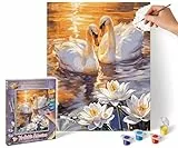 Schipper 609240923 Malen nach Zahlen – Verliebte Schwäne - Bilder malen für Erwachsene, inklusive Pinsel und Acrylfarben, 24 x 30 cm