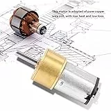 Hyuduo DC 6 V 60 U/min, 100 U/min, 300 U/min, 600 U/min, Mikro-Geschwindigkeitsreduzierungsmotor, Mikrometall-Getriebe für RC-Auto-Roboter, Heimwerker-Motor, Spielzeug (6 V DC - 600 U/min),