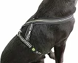 Kerbl Pet Geschirr Xenos 20mmx40-60cm, schwarz/Neongelb