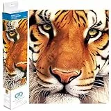DIAMOND DOTZ DD8.001 - Original 5D Diamond Painting Set Bengal Tiger Magie, Kreativset mit 18.250 Diamant Mosaiksteinen, Malset ca. 42 x 36 cm, DIY Komplettset für Erwachsene und Kinder ab 8 Jahren