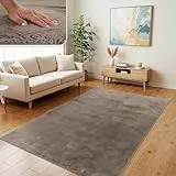 TT Home Wohnzimmer Teppich Hochflor Langflor Kunstfell Weich Modern Unifarben Flauschig, Farbe:Beige Taupe, Größe:160x220 cm