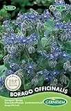 Germisem Borretsch BORAGO OFFICINALIS, mehrfarbig, EC1121