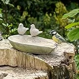 CJ Wildlife Vogeltränke Stein – Winterfest – Vogelbad und Trinkschale Vögel – Beton Graphit-Grau