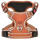 HEELE Hundegeschirr, Brustgeschirre für Hunde, Laufgeschirre Hund mit abschließbarem Schnappverschluss, einstellbare reflektierende Hundegeschirre, Anti Zug, Offen am Hals, Kürbis Orange, S