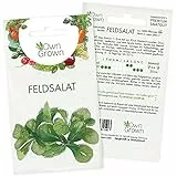 Feldsalat Samen Winterhart: Premium Feldsalat Saatgut für ca. 1000 Pflanzen – Samenfeste Gemüse Samen für die Anzucht in Garten und Hochbeet – Wintergemüse OwnGrown