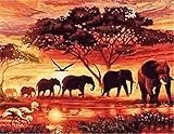 Pracht Creatives Hobby Diamond Painting Set, Bild mit Motiv Elefanten in der Savanne und Zubehör, Größe ca. 35 x 25 cm, Bastelset zum Malen mit Glitzersteinchen für Kinder ab 5 Jahren