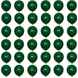Kleine Luftballons Dunkelgrün 5 Zoll Weihnachten Ballons,36 Stück Luftballons Weihnachten Helium Ballons Partyballon Deko,Latex Luftballons für Dunkelgrün Party,Geburtstag,Weihnachtsballon Girlande